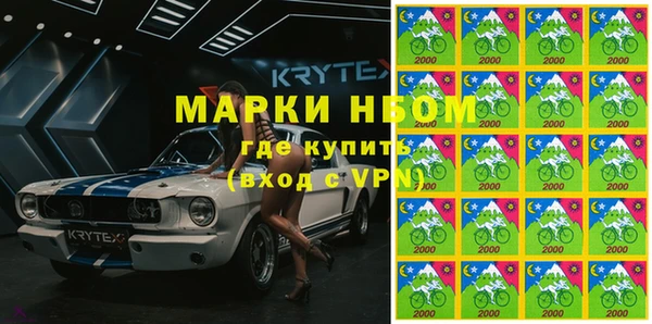 прущие грибы Михайлов