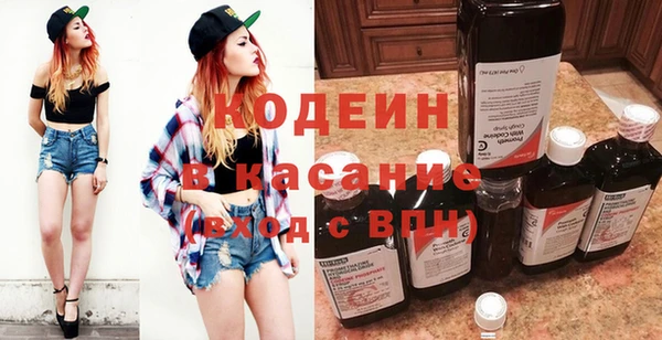 прущие грибы Михайлов