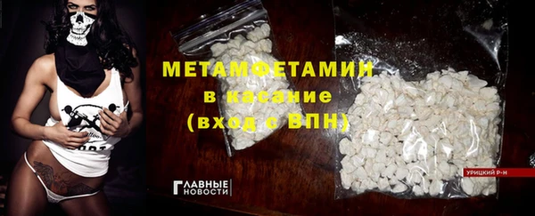 прущие грибы Михайлов