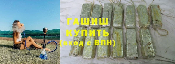 прущие грибы Михайлов
