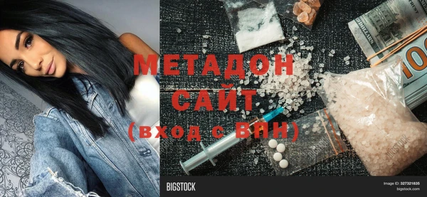 прущие грибы Михайлов