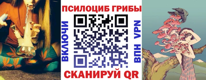 Галлюциногенные грибы ЛСД  Болохово 